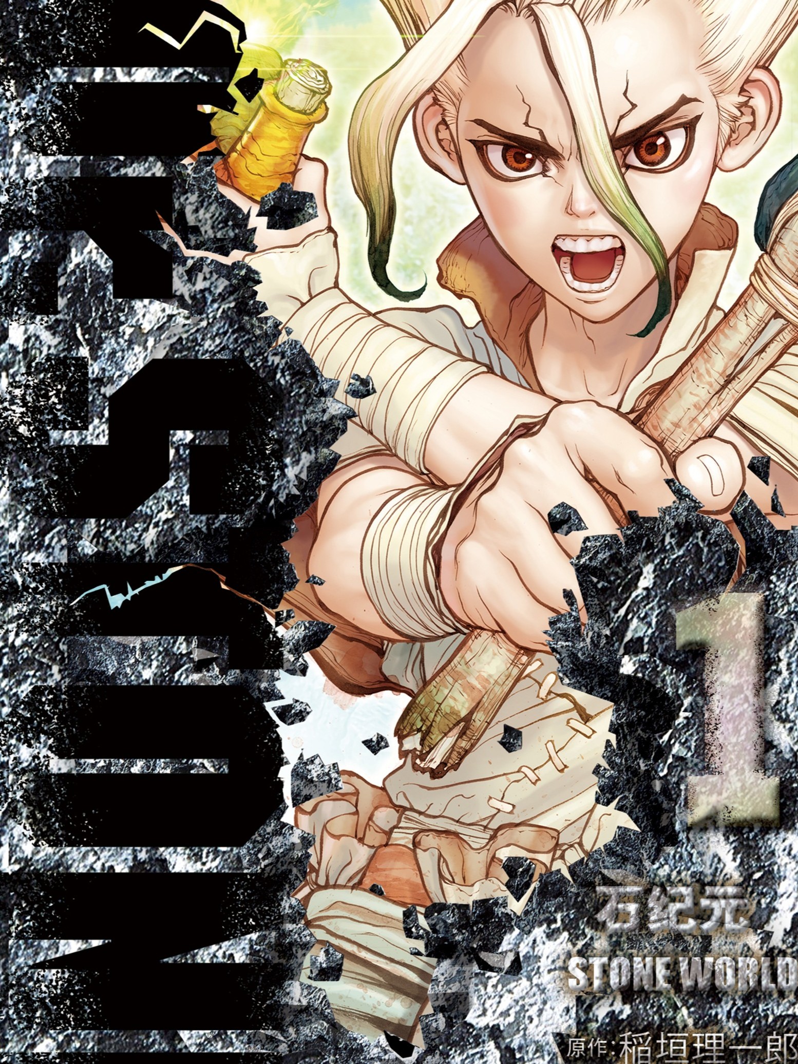 石纪元（Dr.Stone）漫画