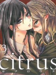 citrus~柑橘味香气~漫画