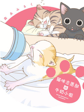 猫咪志愿部的牛奶小姐漫画