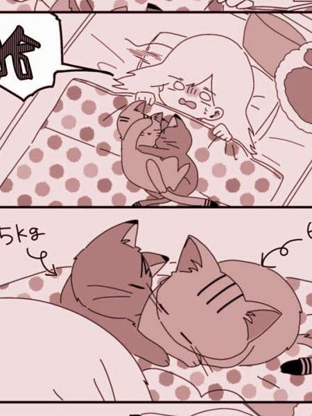 即使与世界为敌也要爱猫漫画