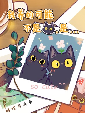 我养的可能不是猫，是...漫画