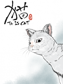 猫（白）漫画